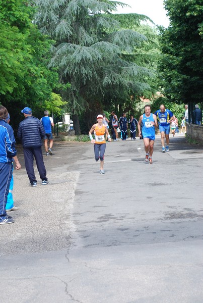 Maratonina di Villa Adriana (26/05/2013) 00010