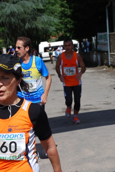 Maratonina di Villa Adriana (26/05/2013) 00035