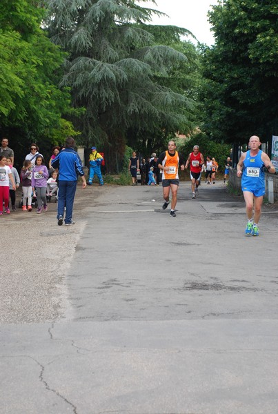 Maratonina di Villa Adriana (26/05/2013) 00057