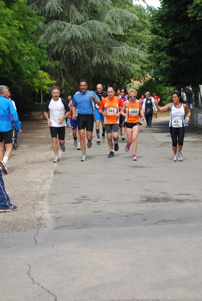 Maratonina di Villa Adriana (26/05/2013) 00062