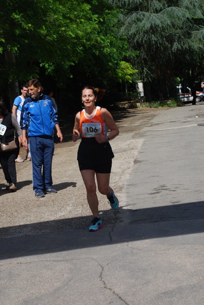 Maratonina di Villa Adriana (26/05/2013) 00067