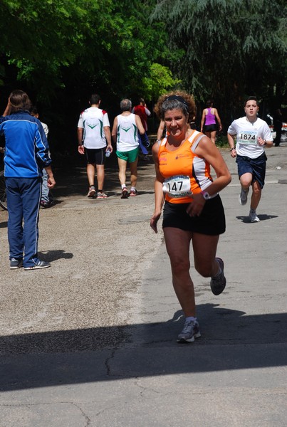 Maratonina di Villa Adriana (26/05/2013) 00074