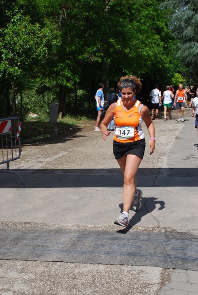 Maratonina di Villa Adriana (26/05/2013) 00075