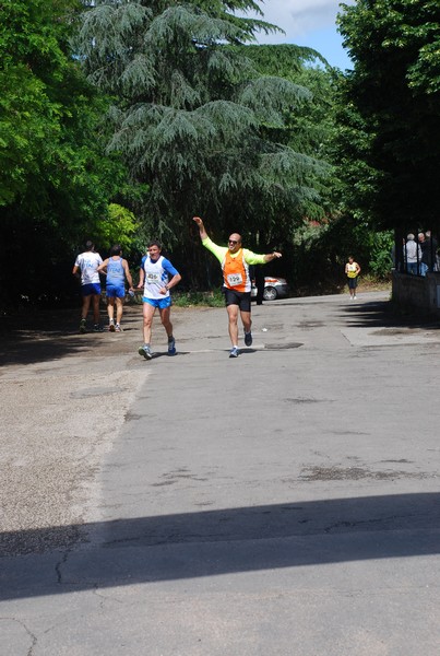 Maratonina di Villa Adriana (26/05/2013) 00076