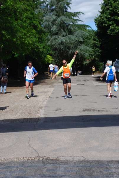 Maratonina di Villa Adriana (26/05/2013) 00077