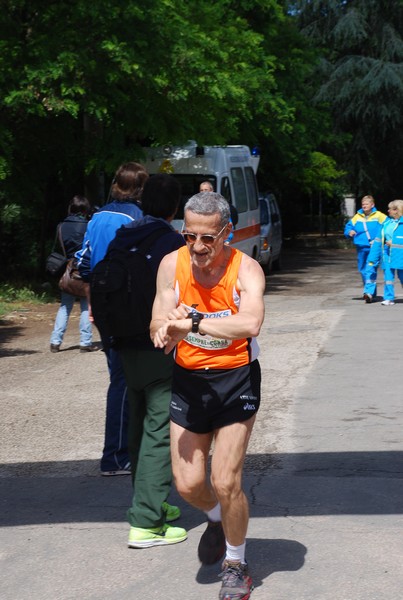 Maratonina di Villa Adriana (26/05/2013) 00084