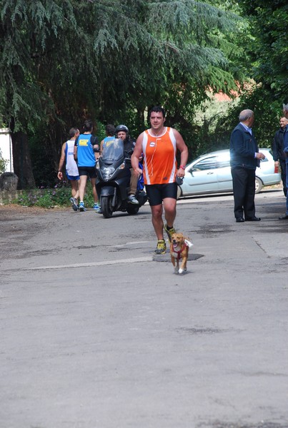 Maratonina di Villa Adriana (26/05/2013) 00086