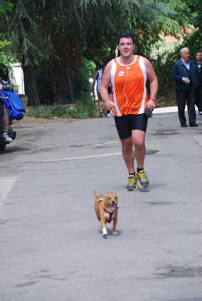 Maratonina di Villa Adriana (26/05/2013) 00087