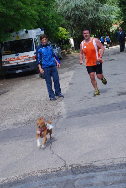 Maratonina di Villa Adriana (26/05/2013) 00088