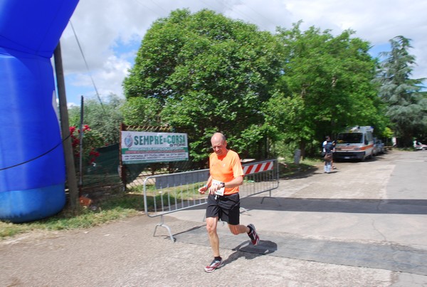 Maratonina di Villa Adriana (26/05/2013) 00090