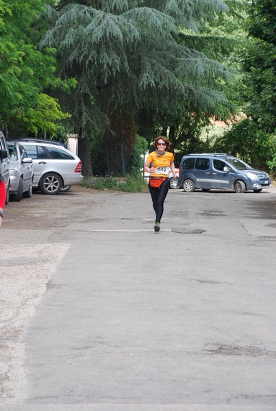 Maratonina di Villa Adriana (26/05/2013) 00094