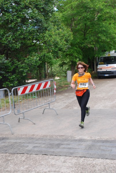 Maratonina di Villa Adriana (26/05/2013) 00096