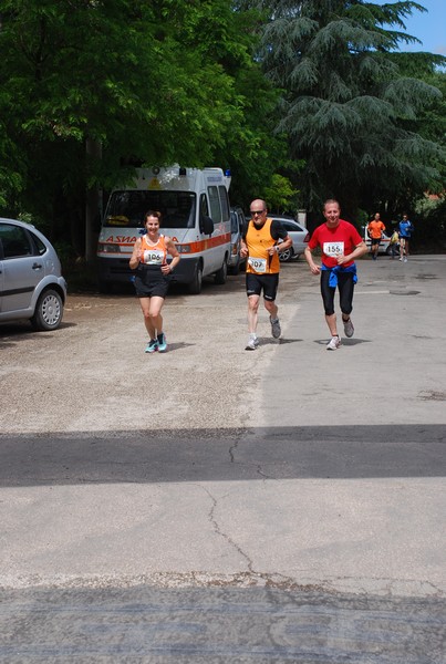 Maratonina di Villa Adriana (26/05/2013) 00098