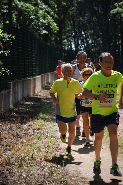 Trofeo Città di Nettuno (02/06/2013) 00015