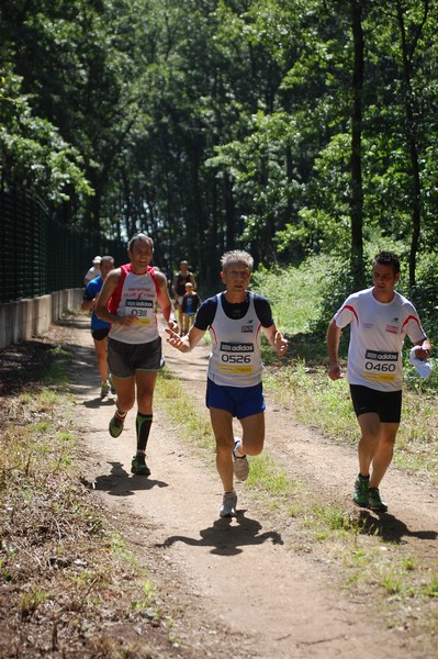 Trofeo Città di Nettuno (02/06/2013) 00105