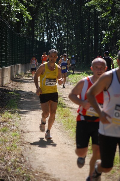 Trofeo Città di Nettuno (02/06/2013) 00148