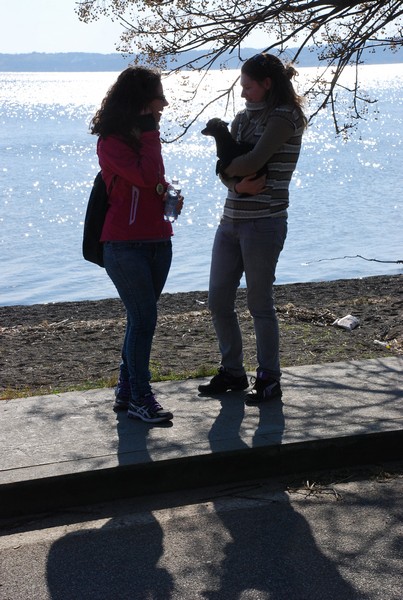 Giro del Lago di Bracciano (10/02/2013) 00091