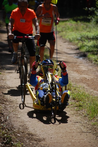 Trofeo Città di Nettuno (02/06/2013) 00060