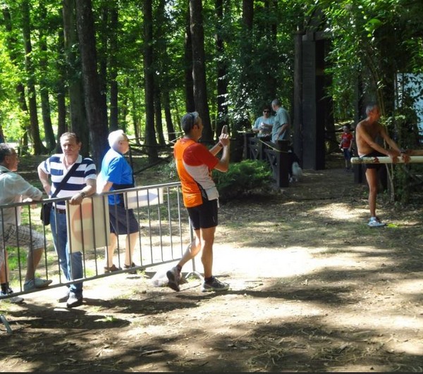 Corri tra i boschi della Fonte Ontanese (crit. estivo) (07/07/2013) 00018