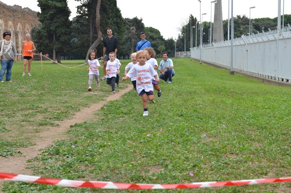 Trofeo Arancini Podistica Solidarietà (29/09/2013) 00016