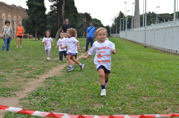 Trofeo Arancini Podistica Solidarietà (29/09/2013) 00017