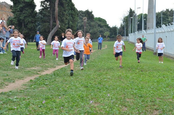 Trofeo Arancini Podistica Solidarietà (29/09/2013) 00060