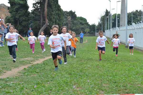 Trofeo Arancini Podistica Solidarietà (29/09/2013) 00061