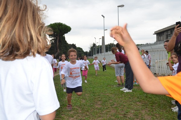 Trofeo Arancini Podistica Solidarietà (29/09/2013) 00071