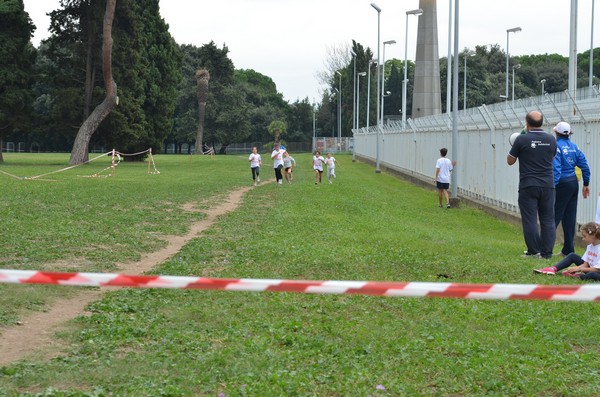 Trofeo Arancini Podistica Solidarietà (29/09/2013) 00085