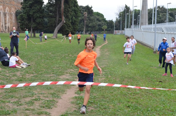 Trofeo Arancini Podistica Solidarietà (29/09/2013) 00088