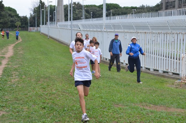 Trofeo Arancini Podistica Solidarietà (29/09/2013) 00089