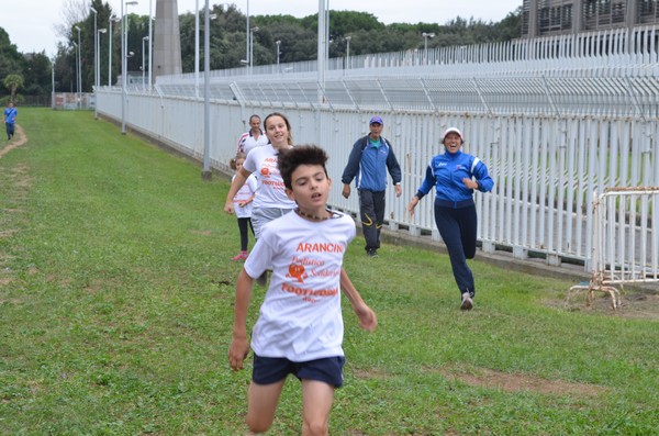 Trofeo Arancini Podistica Solidarietà (29/09/2013) 00090