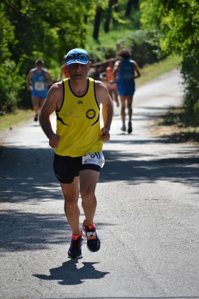 Corriamo con Carlo (16/06/2013) 115