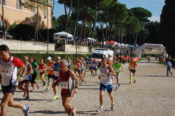 Maratona di Roma a Staffetta (19/10/2013) 00049