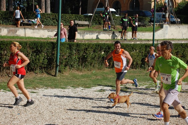 Maratona di Roma a Staffetta (19/10/2013) 00052