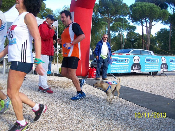 Di Corsa Verso la Sicurezza Stradale (10/11/2013) 00044