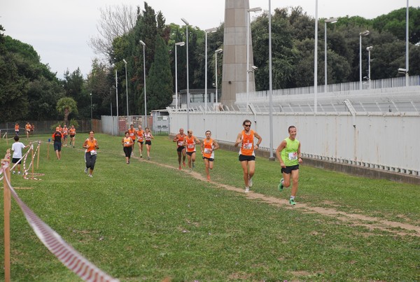 Trofeo Podistica Solidarietà (29/09/2013) 00067