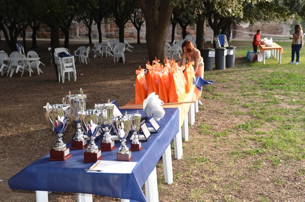 Trofeo Podistica Solidarietà (29/09/2013) 00005