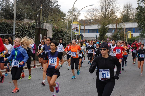 Mezza Maratona a Staffetta - Trofeo Arcobaleno (01/12/2013) 00018