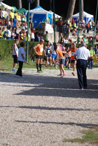 Maratona di Roma a Staffetta (19/10/2013) 00099