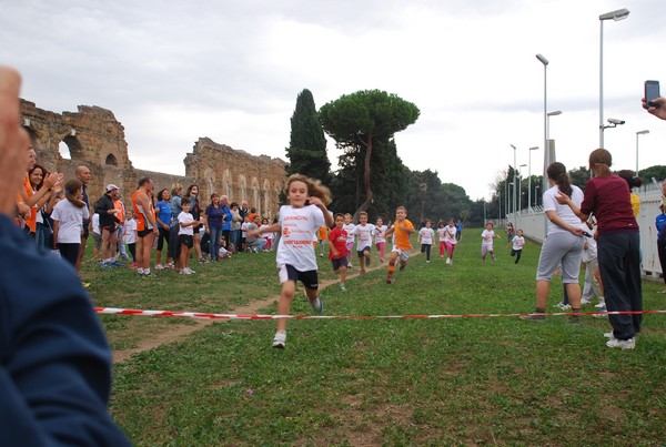 Trofeo Arancini Podistica Solidarietà (29/09/2013) 00041