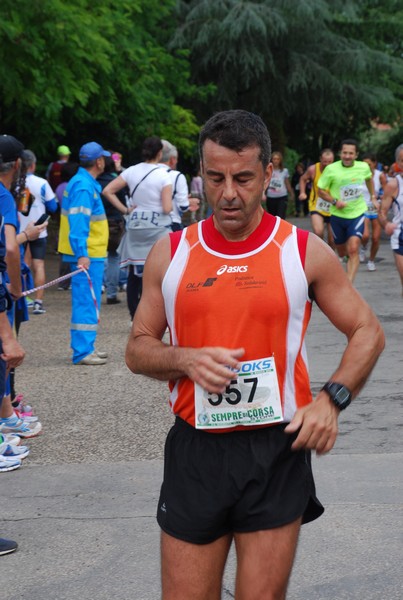 Maratonina di Villa Adriana (26/05/2013) 00084