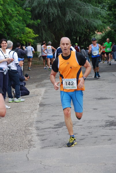 Maratonina di Villa Adriana (26/05/2013) 00089