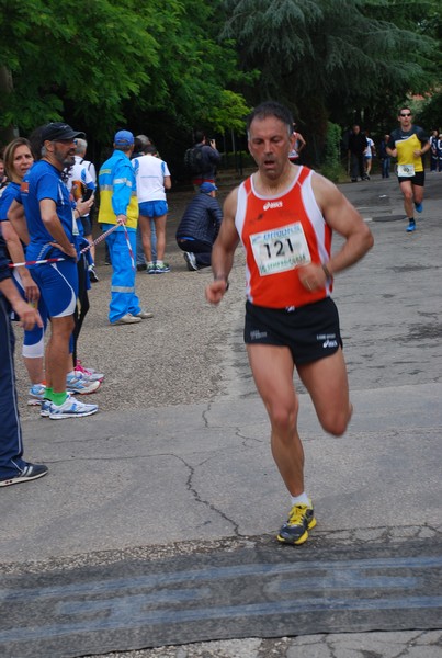 Maratonina di Villa Adriana (26/05/2013) 00092