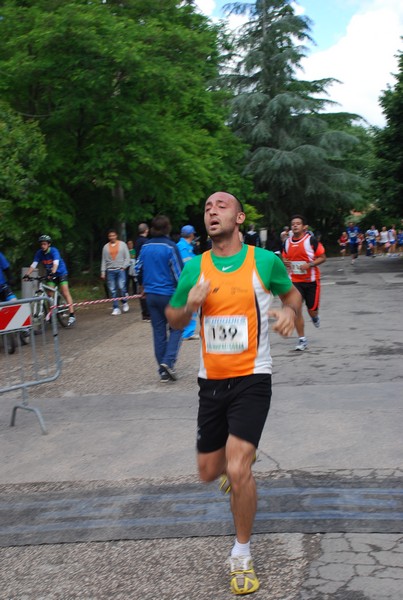 Maratonina di Villa Adriana (26/05/2013) 00113