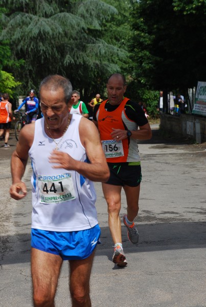 Maratonina di Villa Adriana (26/05/2013) 00117