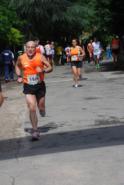 Maratonina di Villa Adriana (26/05/2013) 00122