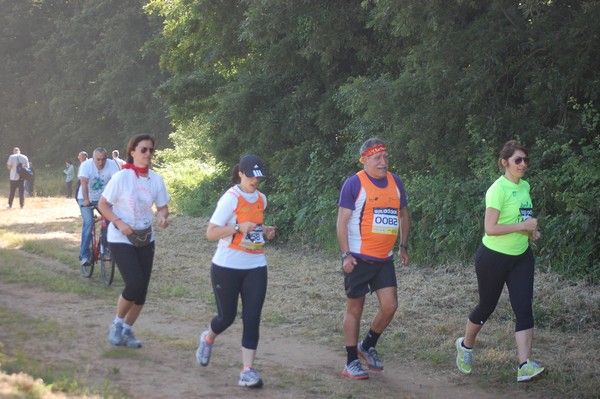 Trofeo Città di Nettuno (02/06/2013) 00138