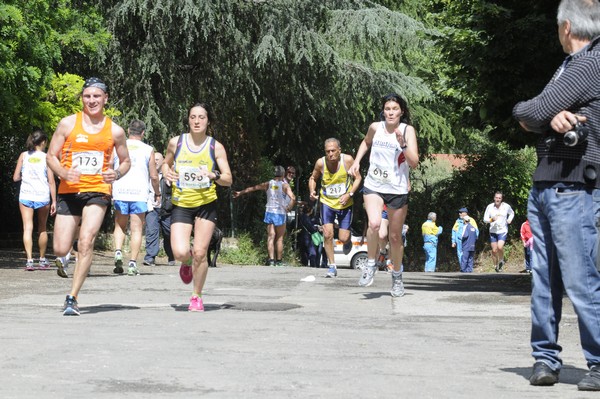 Maratonina di Villa Adriana (26/05/2013) 00068