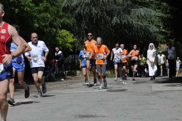 Maratonina di Villa Adriana (26/05/2013) 00075